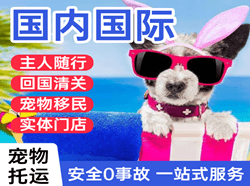 右旗巴丹吉林机场空运国际宠物托运 【国